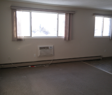 Manitoba, 1010 Brazier Street, R2K 2P4, Winnipeg - Photo 5