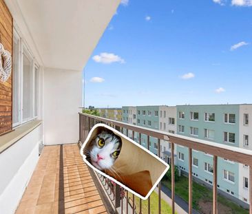 Pronájem bytu 3+1 • 88 m² bez realitkyChalabalova, Praha - Stodůlky - Photo 4