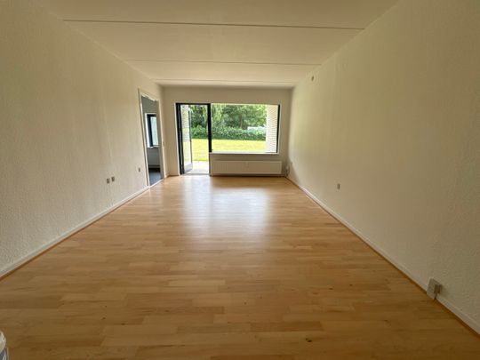 Velindrettet 2-værelses lejlighed med terrasse - Photo 1