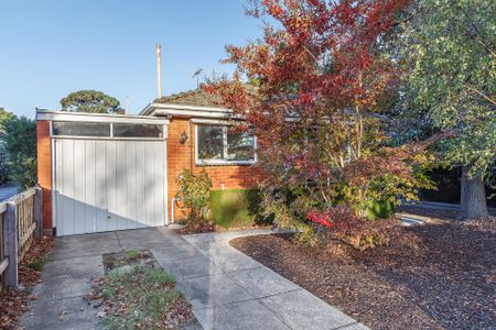 Perfectly Positioned, Light-Filled Home in the Heart of Canterbury - Photo 3