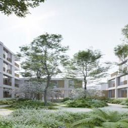 DEN DAM - 8C-003 - Foto 1
