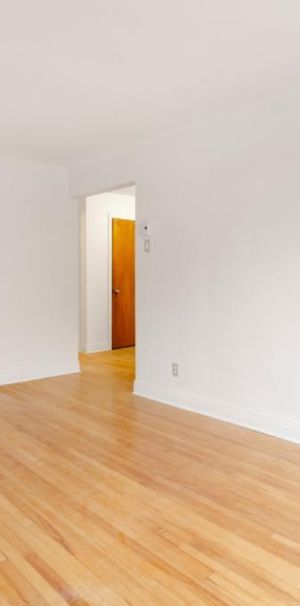 Spacieux et lumineux ( Premier mois gratuit !! ) - Photo 1