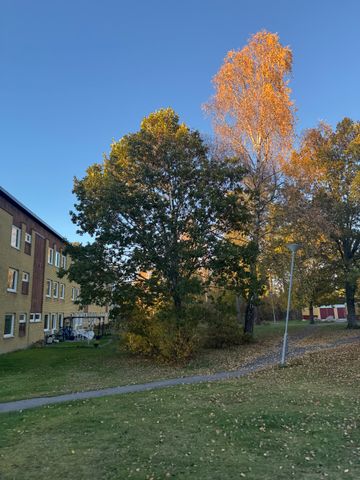 Dunderbacksvägen, Finspång - Photo 3