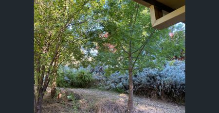 3 Beds 1 Bath Home For Rent $560 Per Week in Bridgewater - Photo 2