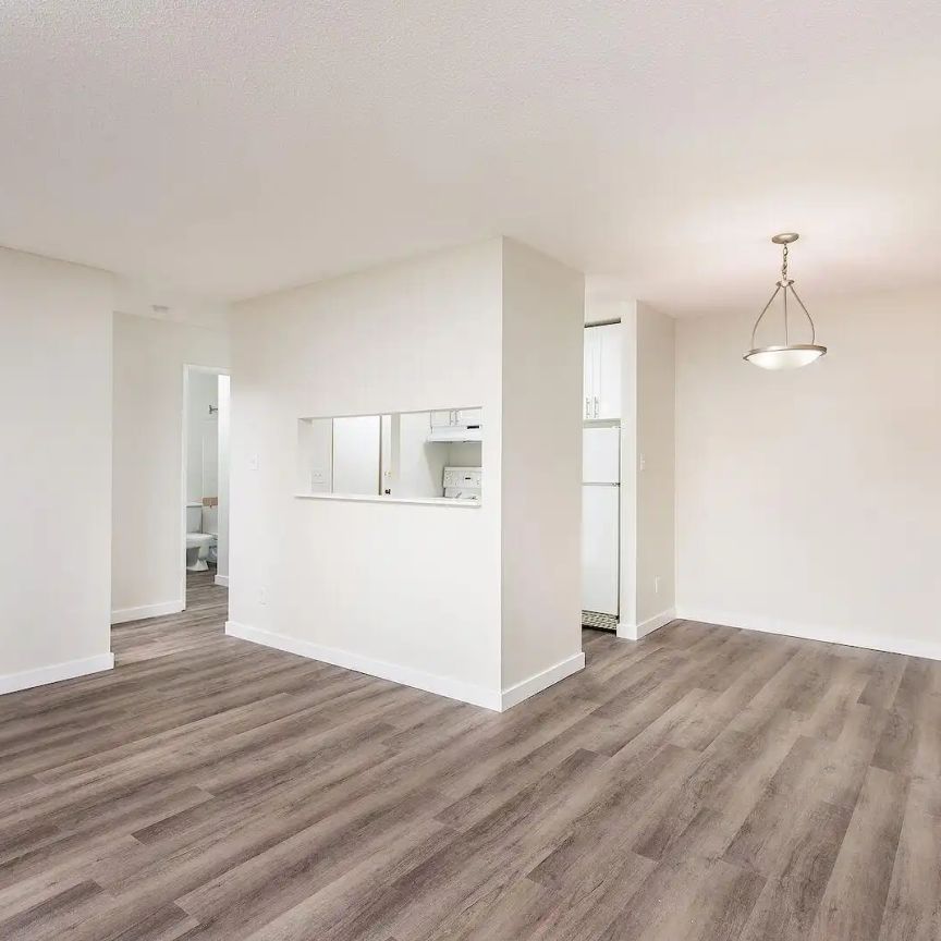 Parkview Estates Apartments — Studio - Photo 1