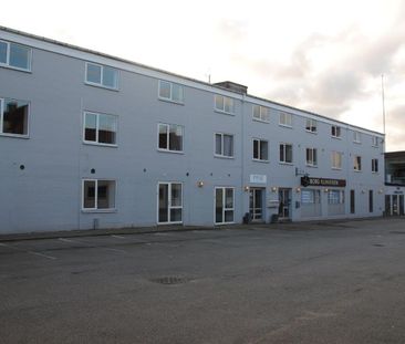 Gravene - Photo 4