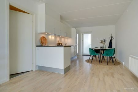 Moderne lejebolig i Odense M med fælles tagterrasse - perfekt til den studerende/delebolig - Photo 5