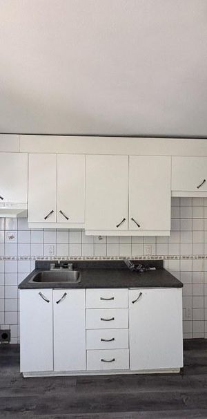 4 1/2 Saint-Liboire - Photo 1