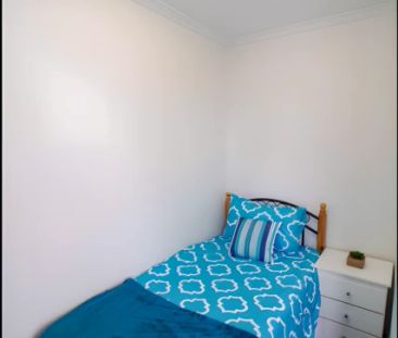 Standard Studio - Photo 2