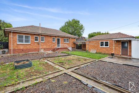 51 Strzelecki Crescent, Narrabundah ACT 2604 - House For Rent | Domain - Photo 4