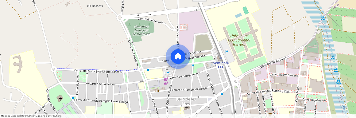 Carrer Mestre Miguel Buendía