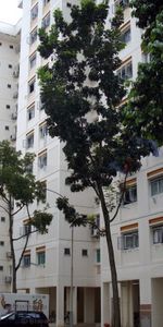 Blk 915 Nanyang Emerald (Jurong West), HDB 3 Rooms - For Rent - Photo 4