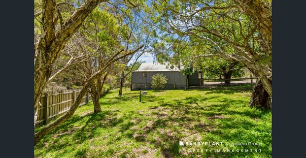 A Private Cottage Retreat - Utilities Included - Photo 1