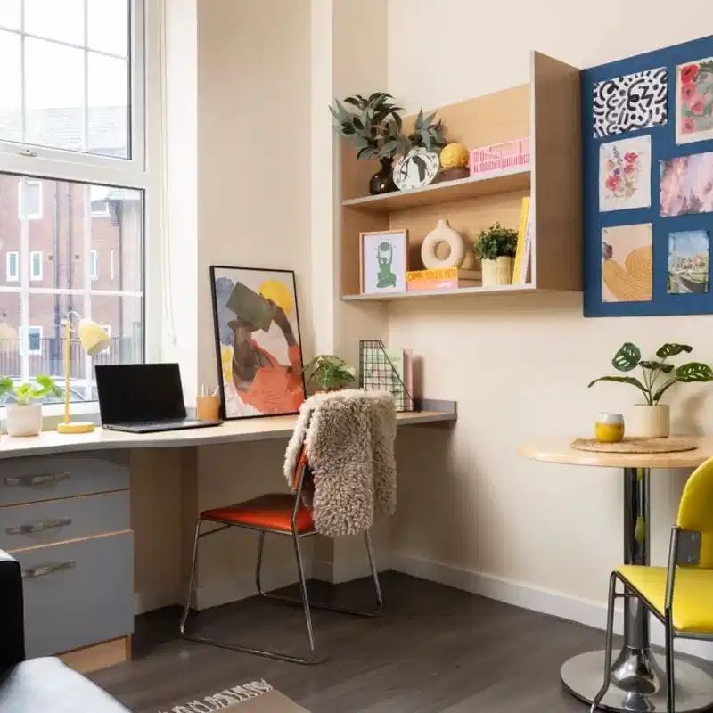 Large High Double Studio - Photo 1