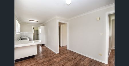 Quiet Comfort in South Orange - Photo 5