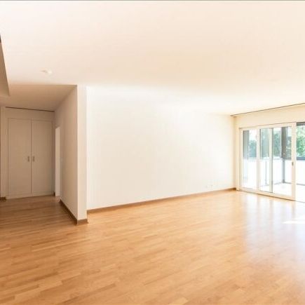 Magnifique penthouse en duplex avec vue sur le lac et grandes terrasses - Photo 1