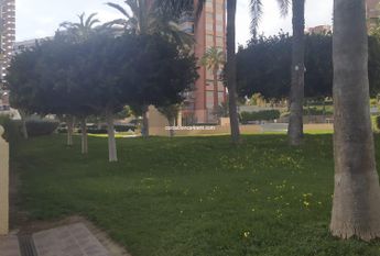 Apartment Benidorm Poniente Winter /Summer Let