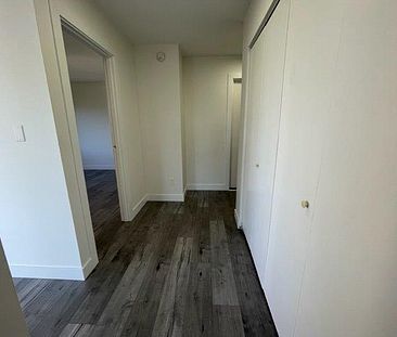 Newly Renovated Second Floor 1 Bedroom Apartment - Photo 2