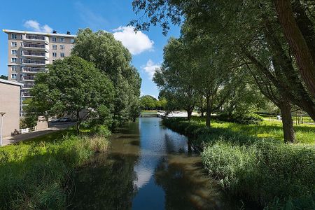 Geervliet 295 - Foto 5
