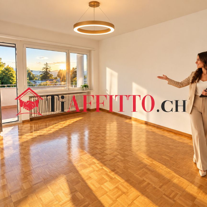 COMODO 3.5 LOCALI A MENDRISIO - Foto 1