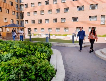 Studio Gold Plus - Photo 3