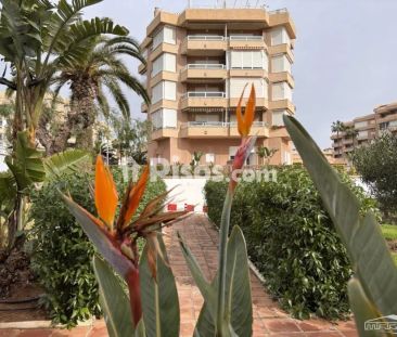 Estudio en alquiler en Urbanización Costa del Oro - Photo 6