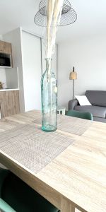 Location Appartement 1 pièce 26m² MERIGNAC 33700 - Photo 3