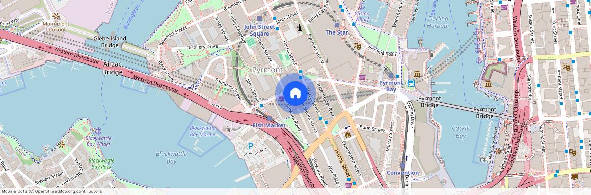 3 Little Mount Street, NSW 2009, Pyrmont