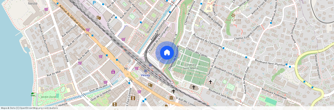 Rue des Bosquets 9 1800 Vevey
