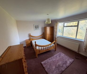 101 Doogary Road, Omagh, BT79 0BW - Photo 4