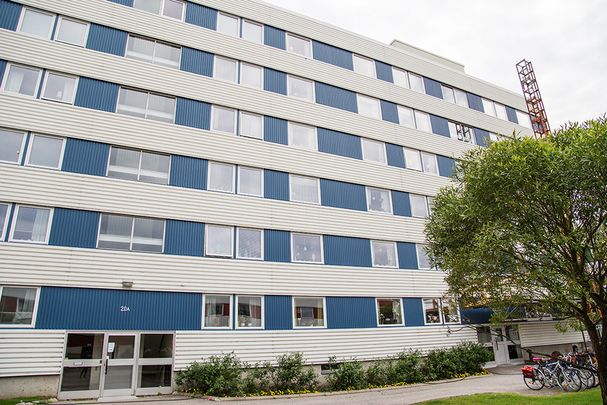 Hamnplan 20 B, 94161, Piteå - Foto 1