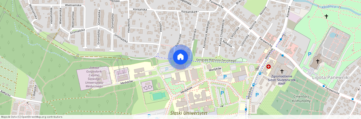 ul. Kokociniec, Ligota-Panewniki, Katowice, śląskie