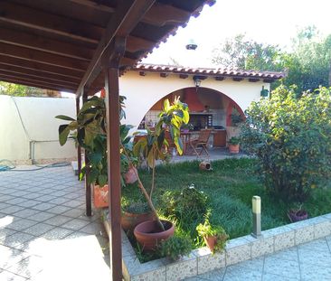 Μονοκατοικία για ενοικίαση Βασιλικό (Ληλάντιο) - Photo 6