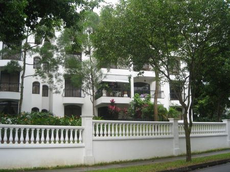 Tanglin Park (D10), Condominium - For Rent - Photo 4