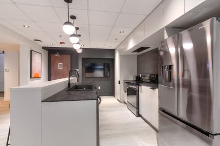 Condo for rent, Montréal (Ville-Marie) - Photo 5