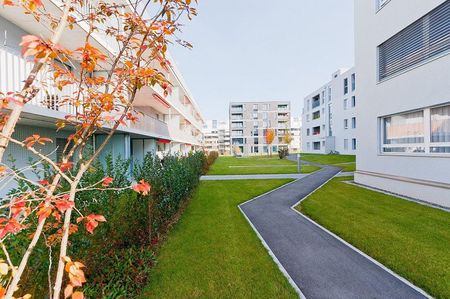 Willkommen im neuen Zuhause - Foto 2