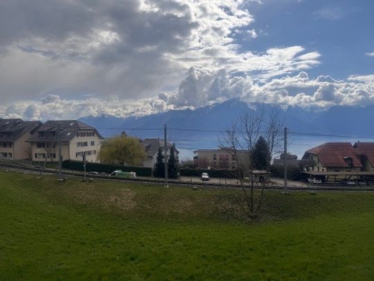 Spacieux appartement avec vue sur le lac à Chernex - Photo 1