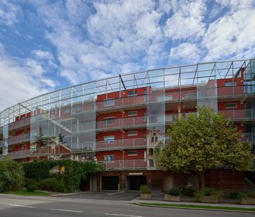 Schöne 2-Zimmer-Wohnung im Erdgeschoss mit Terrasse - Foto 4