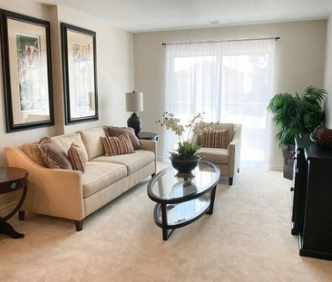 Newport Village - Photo 3