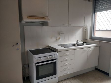 Gelijkvloers appartement te huur in Lokeren - Photo 3