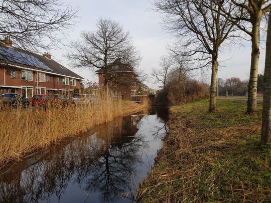 Zandzeggelaan 199, Kijkduin, 2554HM, Den Haag - Foto 1