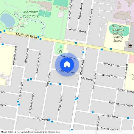 17 Courtice Street, QLD 4110, Acacia Ridge