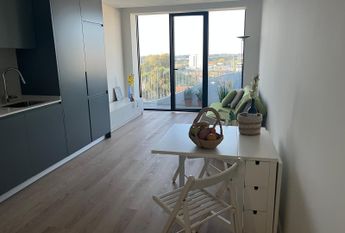 Apartamento T1 Novo com Vistas Panorâmicas - a 5 Minutos da Av. Dr. Lourenço Peixinho