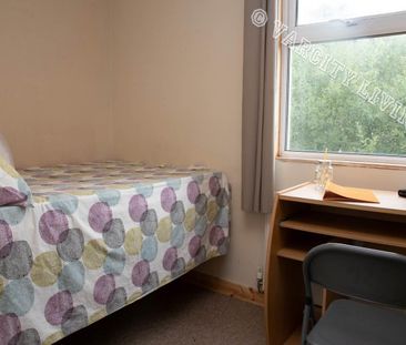 34 Caellepa - Photo 6