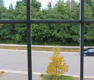 For Lease - 41 Pulpwood Crescent Unit# 2nd master bedroom, Richmond... - Photo 2