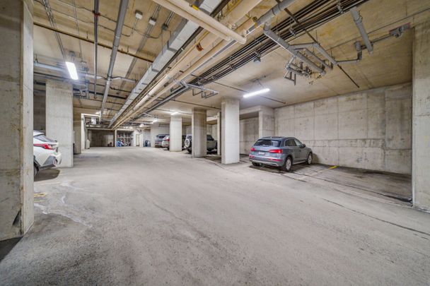 For Lease - 205 Bolton Street Unit# 218, Lower Town - Sandy Hill, Ontario - Photo 1