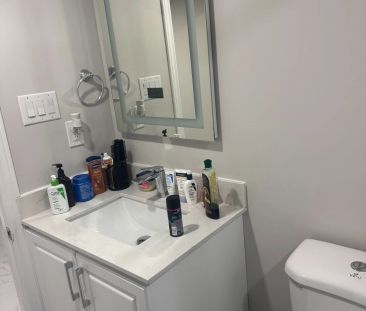 3 Haviland Circle #(Basement) - Photo 6