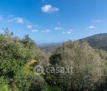Monolocale in Affitto in Via Sole Ruju a Olbia - Foto 6