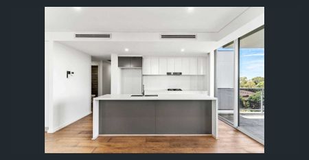 Tranquil 2-Bedroom Apartment with Stunning Bush Views! - Photo 3