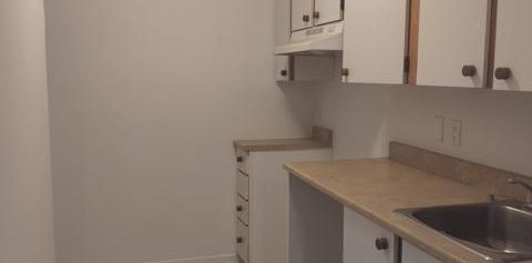 Appartement 1 chambre — 1 mois gratuit ! - Photo 2